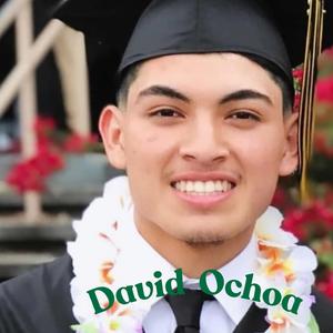 El Corrido de David Ochoa
