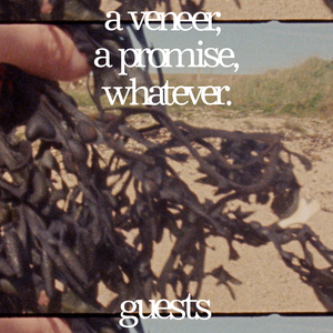 A Veneer, A Promise, Whatever