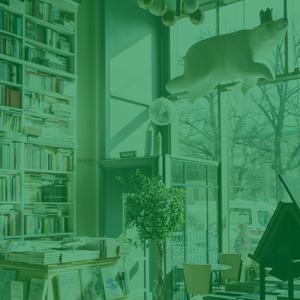 优美零售店器乐