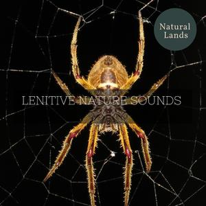 Whoa! A Steady Campfire