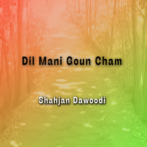 Tou Rawe Dar E Mulka Paree