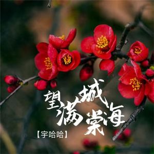 望满城海棠