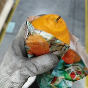 爱老己（Prod.RAY&ROCKY）