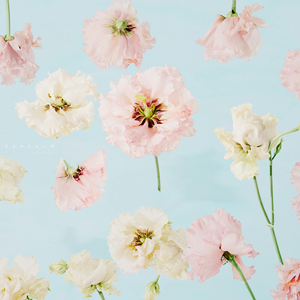 하얀 눈이 내려올때면