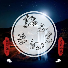 要走的人你留不住 (DJ版)