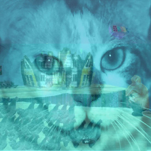 Fadt Theme (Fadt Revisited) [feat. David Platt]