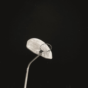 Standing On The Shore