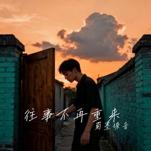 往事不再重来