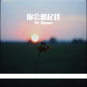 你会想起我