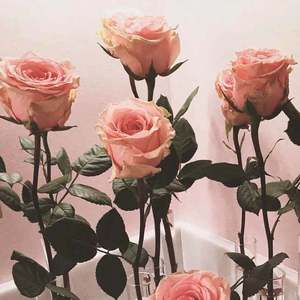 【FREE】"夏日迷情"