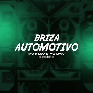 Briza Automotivo