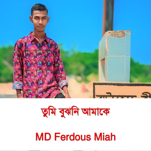 তুমি বুঝনি আমাকে