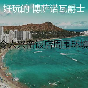 温和海滩梦想