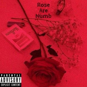 Rose Are Numb