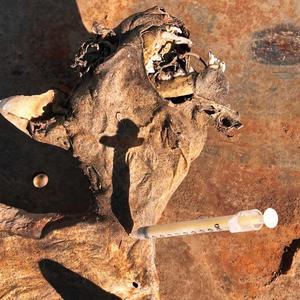 Alien Venom on Somas and Heroin