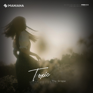 Toxic (Extended Mix)