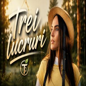 Trei lucruri