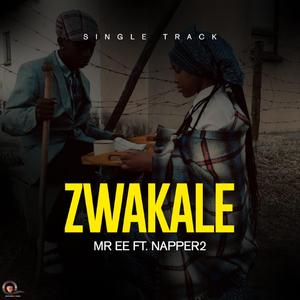 ZWAKALE-Mr Ee (feat. NAPPER2)