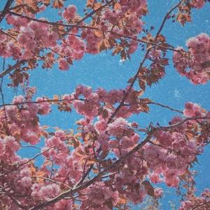 Cloud Rest（春天）