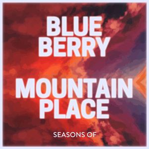 Blue Berry Mountain Place