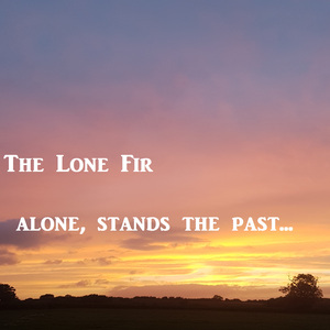 Sometimes Thats Everything