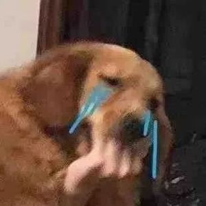 水逆之夜