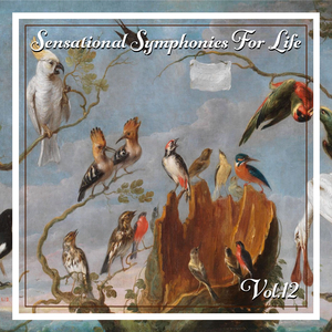 Sinfonie Nr. 1 In C Minor: Allegro