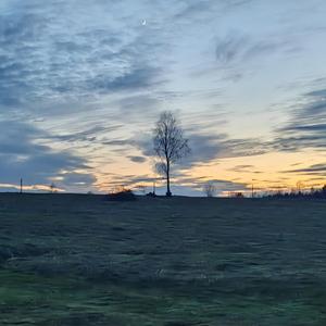 Привет звезда