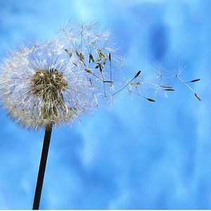拨浪鼓 伴奏