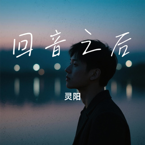 回音之后