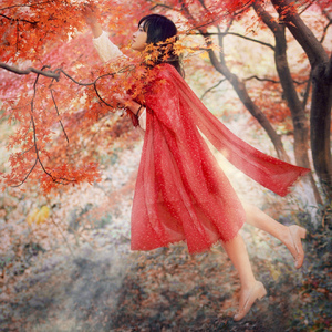 雨碎江南（翻自 河图）