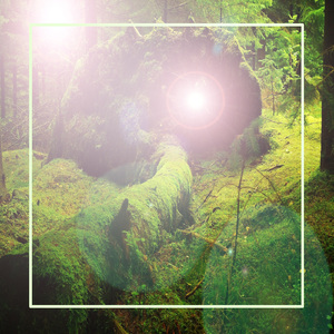 진정한 의미 (안식)