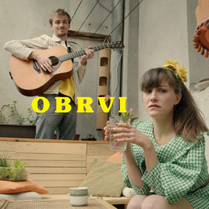 Obrvi