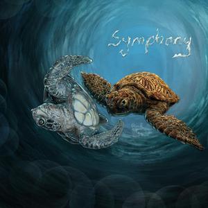 Symphony (feat. Ritwik Bhattacharya)