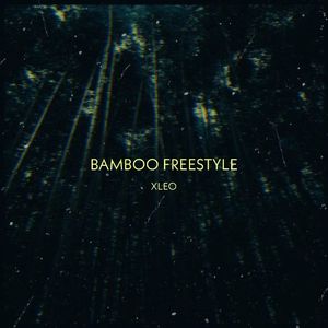 BAMBOO FREESTYLE