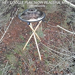 Hey Google Play Slow Peaceful Music