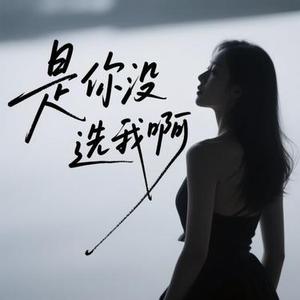 是你没选我啊 (Cover 音乐科代表洪嘉源)