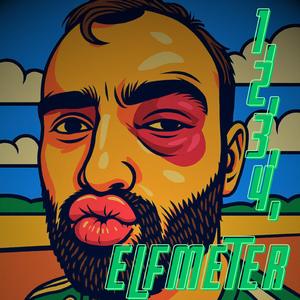 1,2,3,4 ELFMETER