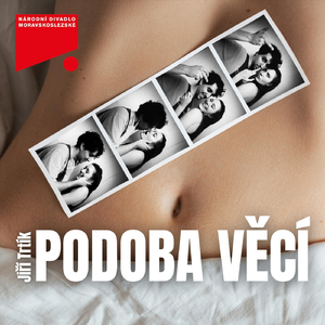 Podoba věcí