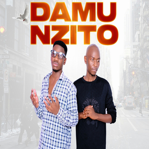 Damu Nzito