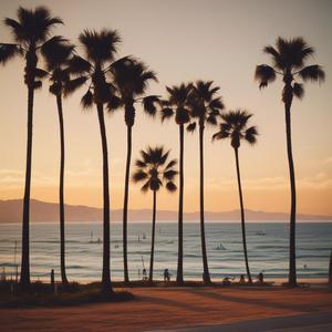 Santa Barbara Vibes (Original)