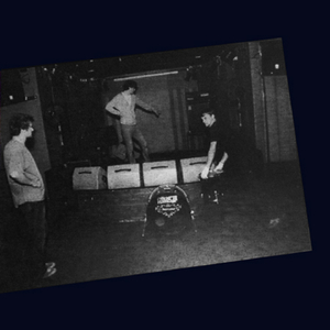 День рождения и звери 2011