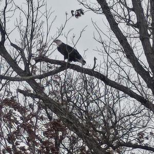 The 28 pecent war cry