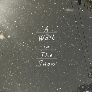 A walk in the snow