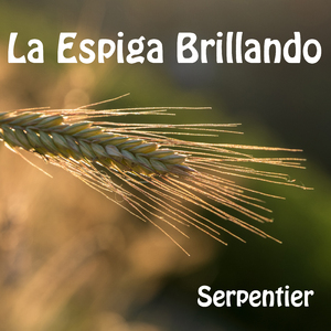 Buscar En El Misterio