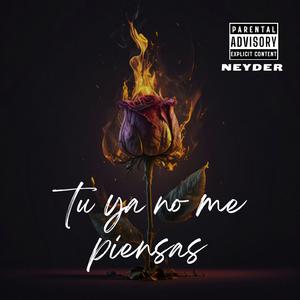 Tu ya no me piensas