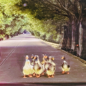 小谷围月夜独酌（demo）