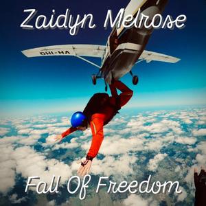 Fall Of Freedom