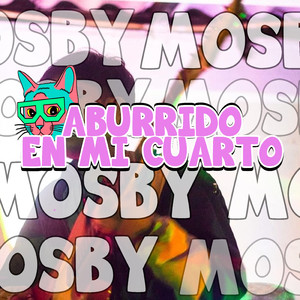 No tendré Mucho Que Decir