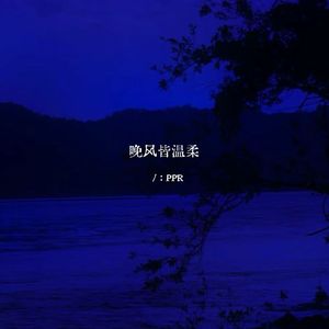 晚风皆温柔